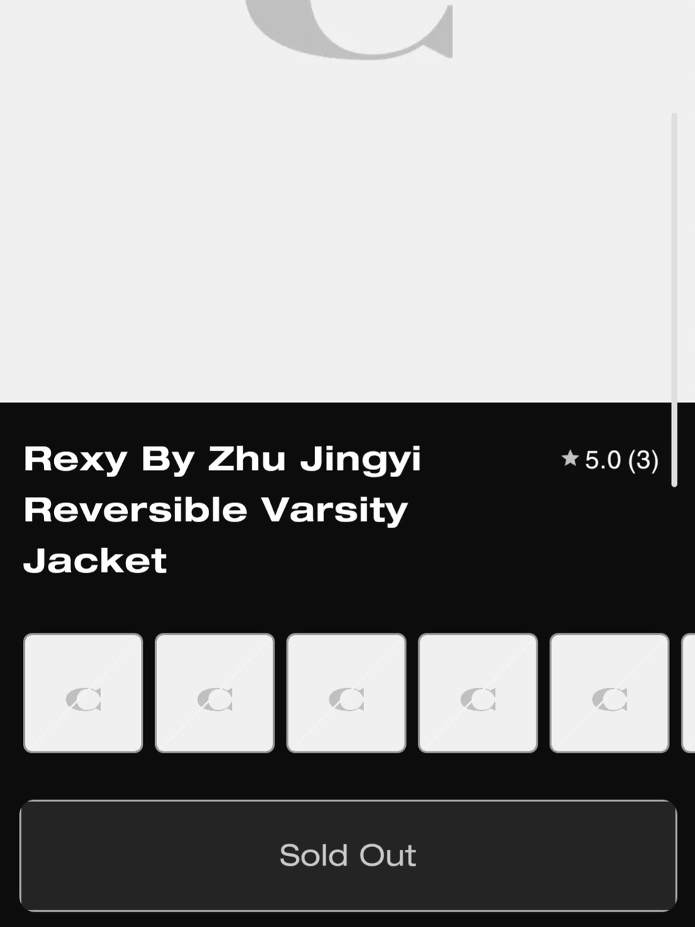 Archival - Limited Edition 2019 Coach "Rexy" Varcity Jacket - Picture 6 of 16